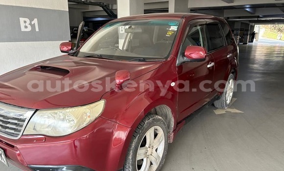 Nunua Ilio tumika Subaru Forester Nyekundu Gari ndani ya Bomet nchini Bonde la Ufafanuzi Nunua Ilio tumika Subaru Forester Nyekundu Gari ndani ya Bomet nchini Bonde la Ufafanuzi