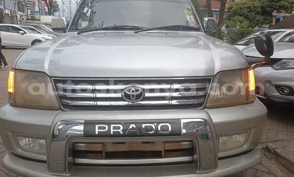 Buy Used Toyota Prado Silver Car in Nairobi in Nairobi Buy Used Toyota Prado Silver Car in Nairobi in Nairobi