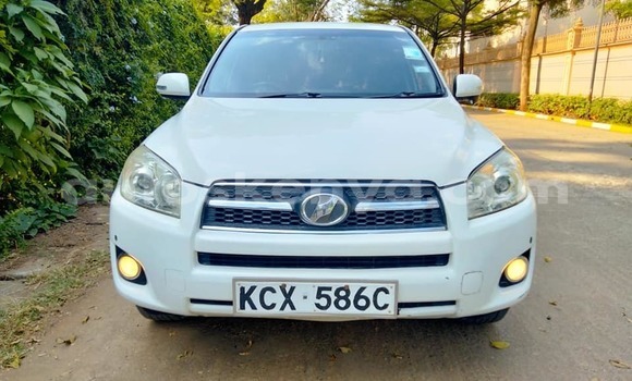 Buy Used Toyota RAV4 White Car in Bungoma in West Kenya