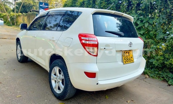 Oofamaa Toyota RAV4 White Makiinaa iti Bungoma keessatti West Kenya keessatti Oofamaa Toyota RAV4 White Makiinaa iti Bungoma keessatti West Kenya keessatti