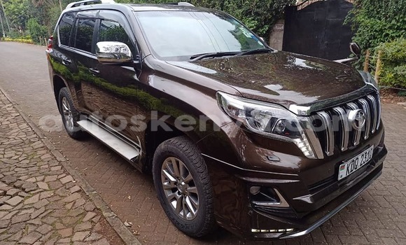 Oofamaa Toyota Land Cruiser Prado Other Makiinaa iti Bissil keessatti Nairobi keessatti Oofamaa Toyota Land Cruiser Prado Other Makiinaa iti Bissil keessatti Nairobi keessatti