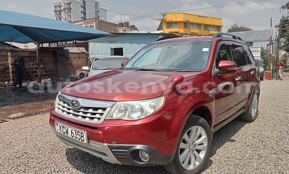 Buy Used Subaru Forester Black Car in Busia in West Kenya