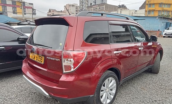 Oofamaa Subaru Forester Black Makiinaa iti Busia keessatti West Kenya keessatti Oofamaa Subaru Forester Black Makiinaa iti Busia keessatti West Kenya keessatti