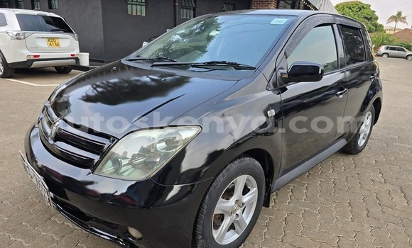 Oofamaa Toyota IST Black Makiinaa iti Bungoma keessatti West Kenya keessatti Oofamaa Toyota IST Black Makiinaa iti Bungoma keessatti West Kenya keessatti