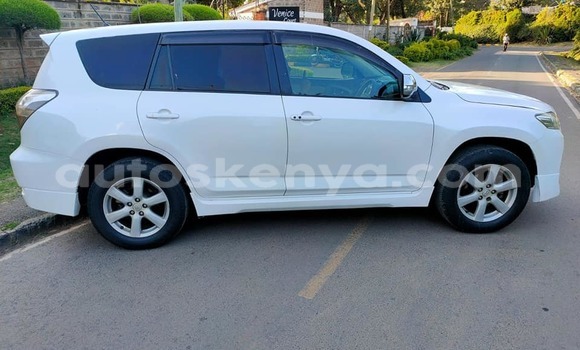Buy Used Toyota Vanguard White Car in Busia in West Kenya Buy Used Toyota Vanguard White Car in Busia in West Kenya