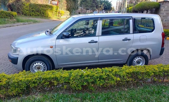 Oofamaa Toyota Probox Other Makiinaa iti Busia keessatti West Kenya keessatti
