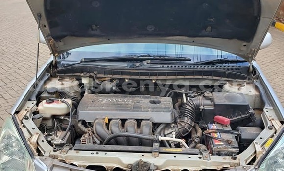 Oofamaa Toyota Premio Other Makiinaa iti Changamwe keessatti Coast keessatti Oofamaa Toyota Premio Other Makiinaa iti Changamwe keessatti Coast keessatti