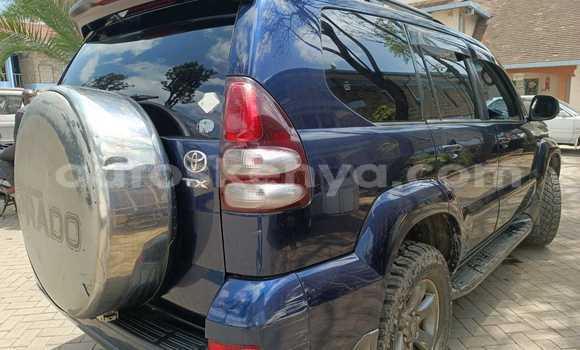Oofamaa Toyota Prado Blue Makiinaa iti Nairobi keessatti Nairobi keessatti Oofamaa Toyota Prado Blue Makiinaa iti Nairobi keessatti Nairobi keessatti