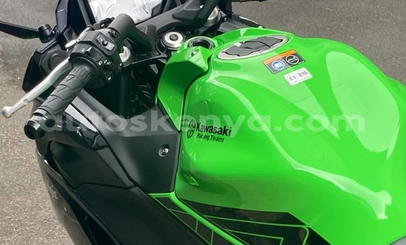 Oofamaa Kawasaki Ninja Green Doqdoqqee iti Nairobi keessatti Nairobi keessatti Oofamaa Kawasaki Ninja Green Doqdoqqee iti Nairobi keessatti Nairobi keessatti