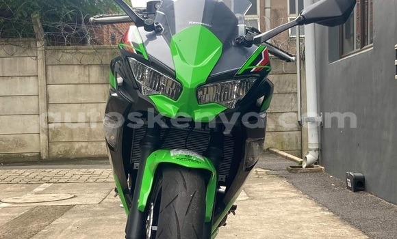 Oofamaa Kawasaki Ninja Green Doqdoqqee iti Nairobi keessatti Nairobi keessatti Oofamaa Kawasaki Ninja Green Doqdoqqee iti Nairobi keessatti Nairobi keessatti