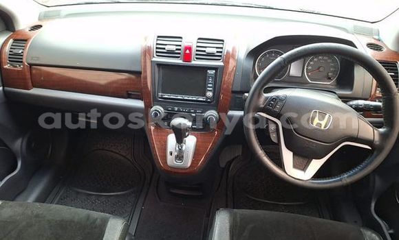 Buy Used Honda CR–V Other Car in Nairobi in Nairobi
