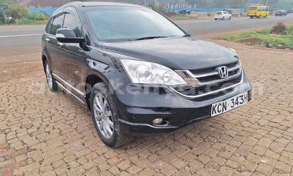 Buy Used Honda CR–V Other Car in Nairobi in Nairobi Buy Used Honda CR–V Other Car in Nairobi in Nairobi