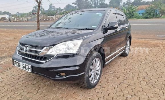 Buy Used Honda CR–V Other Car in Nairobi in Nairobi Buy Used Honda CR–V Other Car in Nairobi in Nairobi
