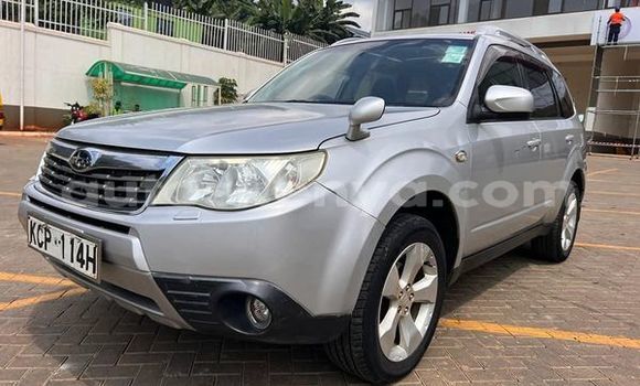 Buy Used Subaru Forester Other Car in Nairobi in Nairobi Buy Used Subaru Forester Other Car in Nairobi in Nairobi