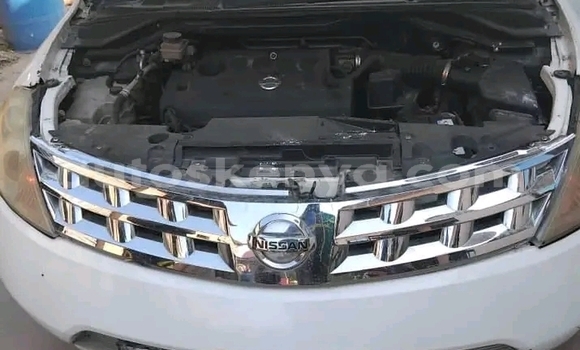 Buy Used Nissan Morano Other Car in Bungoma in West Kenya Buy Used Nissan Morano Other Car in Bungoma in West Kenya