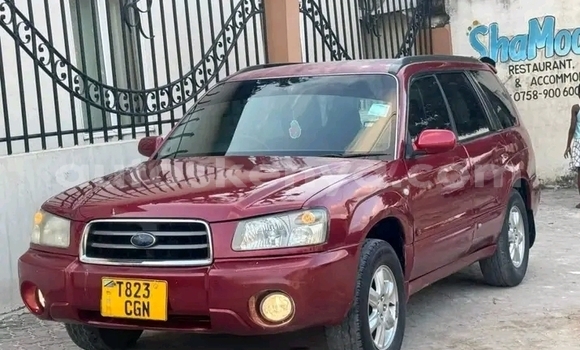 Nunua Ilio tumika Subaru Forester Nyekundu Gari ndani ya Busia nchini West Kenya