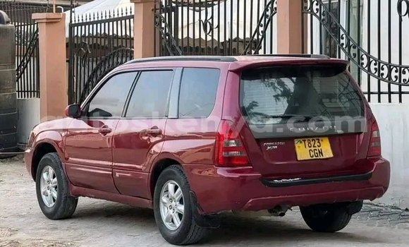 Buy Used Subaru Forester Red Car in Busia in West Kenya Buy Used Subaru Forester Red Car in Busia in West Kenya