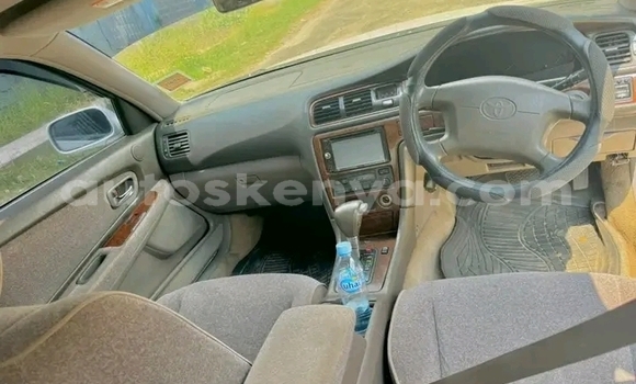 Oofamaa Toyota GT86 White Makiinaa iti Changamwe keessatti Coast keessatti