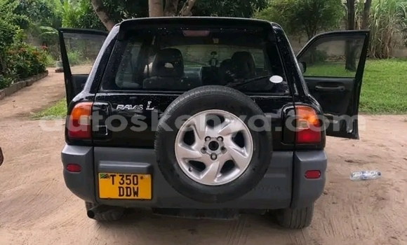 Buy Used Toyota RAV4 Other Car in Bute in Northeast Kenya Buy Used Toyota RAV4 Other Car in Bute in Northeast Kenya