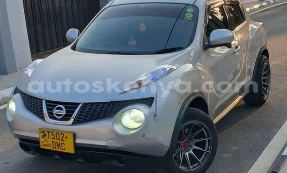 Buy Used Nissan Juke Other Car in Bute in Northeast Kenya