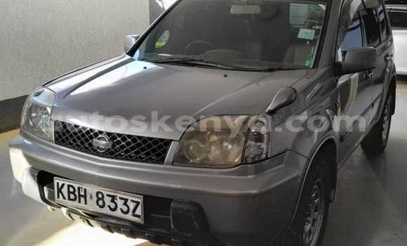 Oofamaa Nissan X–Trail Silver Makiinaa iti Nakuru keessatti Rift Valley keessatti Oofamaa Nissan X–Trail Silver Makiinaa iti Nakuru keessatti Rift Valley keessatti