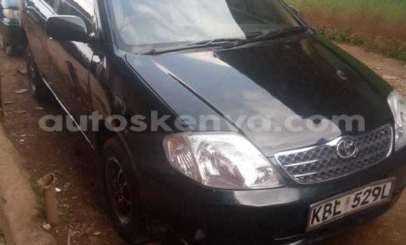 Oofamaa Toyota Fielder Black Makiinaa iti Nakuru keessatti Rift Valley keessatti Oofamaa Toyota Fielder Black Makiinaa iti Nakuru keessatti Rift Valley keessatti