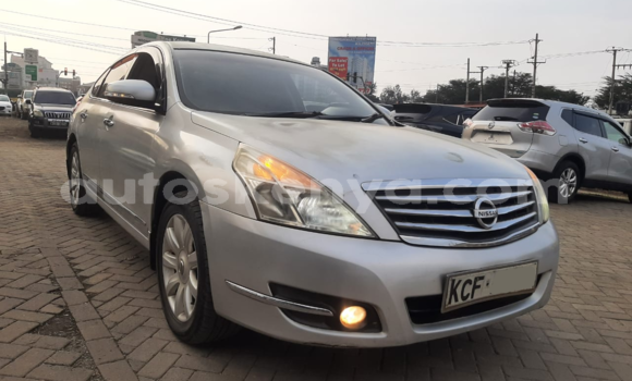 Oofamaa Nissan Teana Silver Makiinaa iti Nairobi keessatti Nairobi keessatti Oofamaa Nissan Teana Silver Makiinaa iti Nairobi keessatti Nairobi keessatti