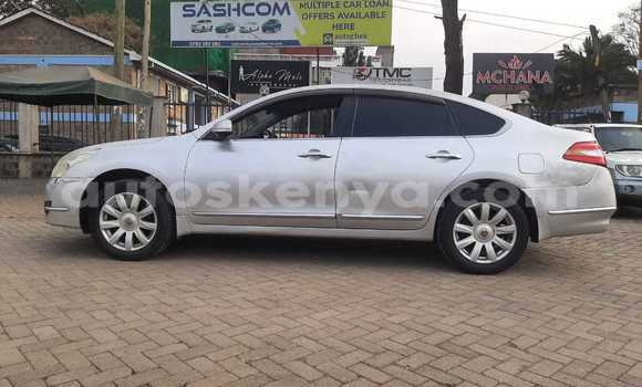 Buy Used Nissan Teana Silver Car in Nairobi in Nairobi Buy Used Nissan Teana Silver Car in Nairobi in Nairobi