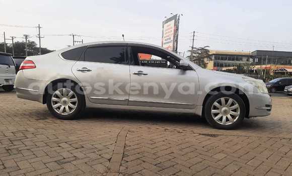Buy Used Nissan Teana Silver Car in Nairobi in Nairobi Buy Used Nissan Teana Silver Car in Nairobi in Nairobi