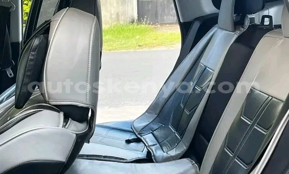 Oofamaa Subaru Forester Black Makiinaa iti Changamwe keessatti Coast keessatti