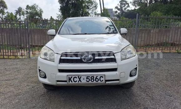 Nunua Ilio tumika Toyota RAV4 Nyingine Gari ndani ya Bura nchini Kaskazini Mashariki mwa Kenya Nunua Ilio tumika Toyota RAV4 Nyingine Gari ndani ya Bura nchini Kaskazini Mashariki mwa Kenya