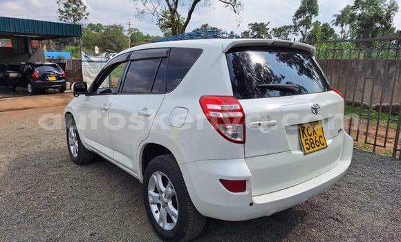 Nunua Ilio tumika Toyota RAV4 Nyingine Gari ndani ya Bura nchini Kaskazini Mashariki mwa Kenya Nunua Ilio tumika Toyota RAV4 Nyingine Gari ndani ya Bura nchini Kaskazini Mashariki mwa Kenya