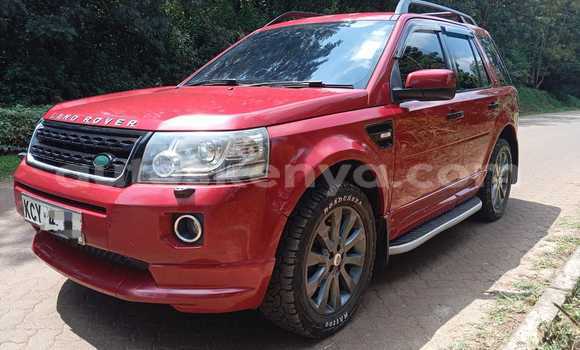 Oofamaa Land Rover Freelander Red Makiinaa iti Nairobi keessatti Nairobi keessatti Oofamaa Land Rover Freelander Red Makiinaa iti Nairobi keessatti Nairobi keessatti