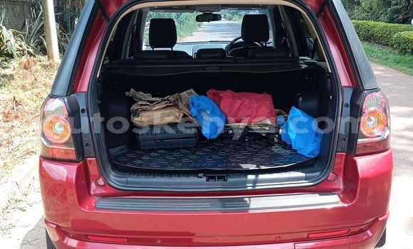 Oofamaa Land Rover Freelander Red Makiinaa iti Nairobi keessatti Nairobi keessatti Oofamaa Land Rover Freelander Red Makiinaa iti Nairobi keessatti Nairobi keessatti