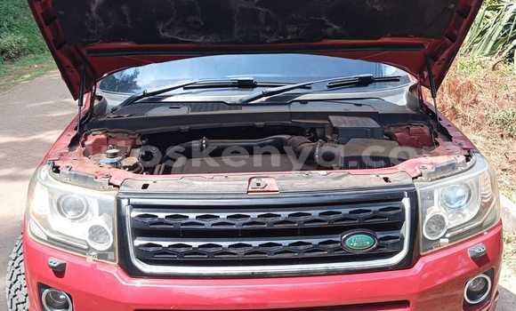 Oofamaa Land Rover Freelander Red Makiinaa iti Nairobi keessatti Nairobi keessatti Oofamaa Land Rover Freelander Red Makiinaa iti Nairobi keessatti Nairobi keessatti