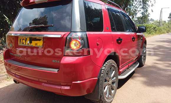Oofamaa Land Rover Freelander Red Makiinaa iti Nairobi keessatti Nairobi keessatti Oofamaa Land Rover Freelander Red Makiinaa iti Nairobi keessatti Nairobi keessatti