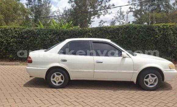 Buy Used Toyota Corolla II White Car in Machakos in Nairobi Buy Used Toyota Corolla II White Car in Machakos in Nairobi
