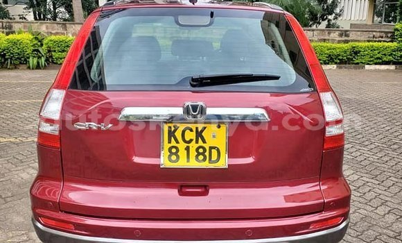 Buy Used Honda CR–V Red Car in Machakos in Nairobi Buy Used Honda CR–V Red Car in Machakos in Nairobi