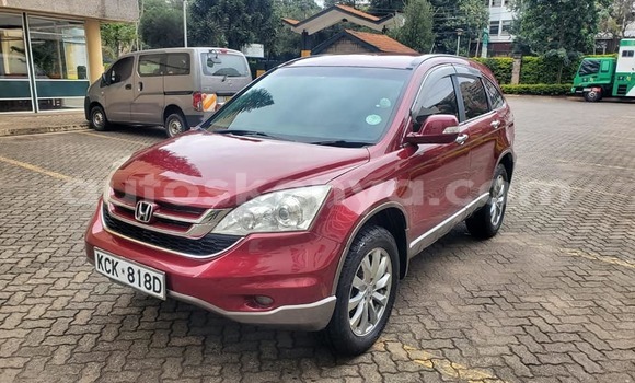Buy Used Honda CR–V Red Car in Machakos in Nairobi Buy Used Honda CR–V Red Car in Machakos in Nairobi