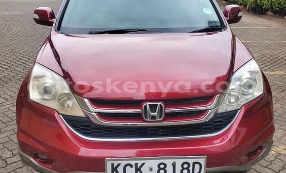 Buy Used Honda CR–V Red Car in Machakos in Nairobi Buy Used Honda CR–V Red Car in Machakos in Nairobi