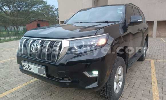 Buy Used Toyota Prado Black Car in Nairobi in Nairobi Buy Used Toyota Prado Black Car in Nairobi in Nairobi