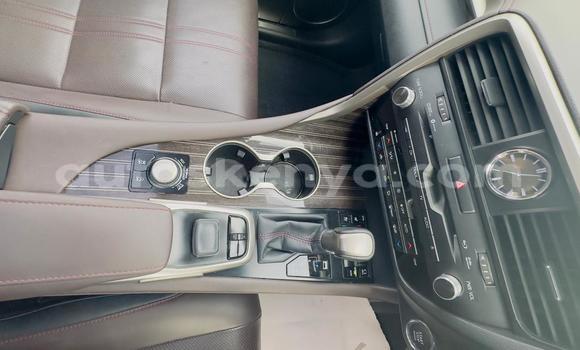 Nunua Mpya Lexus RX Nyeupe Gari ndani ya Nairobi nchini Nairobi Nunua Mpya Lexus RX Nyeupe Gari ndani ya Nairobi nchini Nairobi