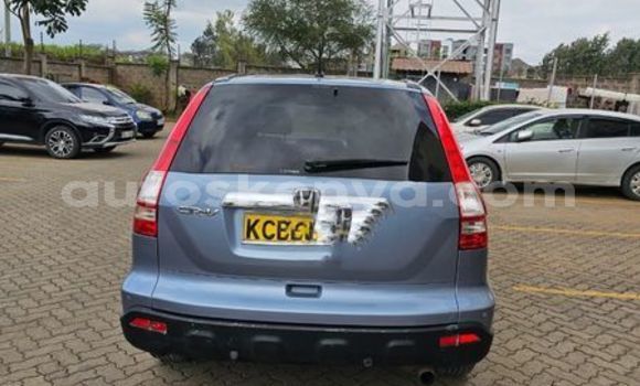 Oofamaa Honda CR–V Other Makiinaa iti Bute keessatti Northeast Kenya keessatti Oofamaa Honda CR–V Other Makiinaa iti Bute keessatti Northeast Kenya keessatti