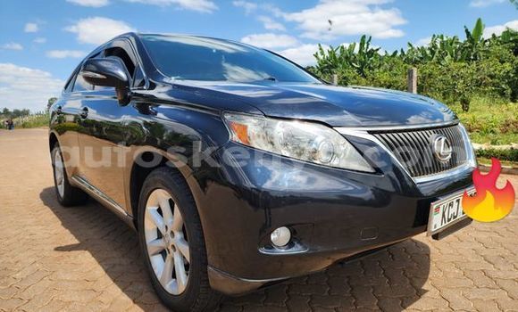 Nunua Ilio tumika Lexus RX 300 Nyingine Gari ndani ya Bungoma nchini West Kenya