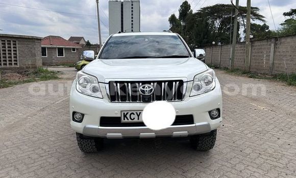Oofamaa Toyota Land Cruiser Prado Other Makiinaa iti Mado Gashi keessatti Eastern keessatti Oofamaa Toyota Land Cruiser Prado Other Makiinaa iti Mado Gashi keessatti Eastern keessatti