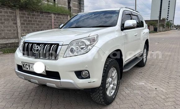 Oofamaa Toyota Land Cruiser Prado Other Makiinaa iti Mado Gashi keessatti Eastern keessatti Oofamaa Toyota Land Cruiser Prado Other Makiinaa iti Mado Gashi keessatti Eastern keessatti