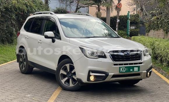 Oofamaa Subaru Forester Other Makiinaa iti Bissil keessatti Nairobi keessatti