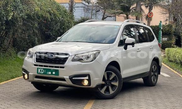Oofamaa Subaru Forester Other Makiinaa iti Bissil keessatti Nairobi keessatti Oofamaa Subaru Forester Other Makiinaa iti Bissil keessatti Nairobi keessatti