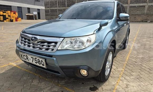Oofamaa Subaru Forester Other Makiinaa iti Busia keessatti West Kenya keessatti Oofamaa Subaru Forester Other Makiinaa iti Busia keessatti West Kenya keessatti