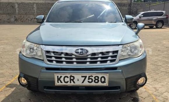 Nunua Ilio tumika Subaru Forester Nyingine Gari ndani ya Busia nchini West Kenya Nunua Ilio tumika Subaru Forester Nyingine Gari ndani ya Busia nchini West Kenya